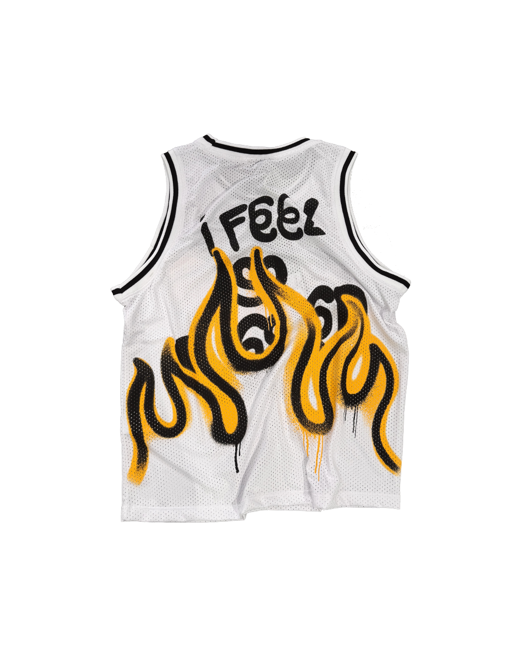 DISCLAIMER suns basketball