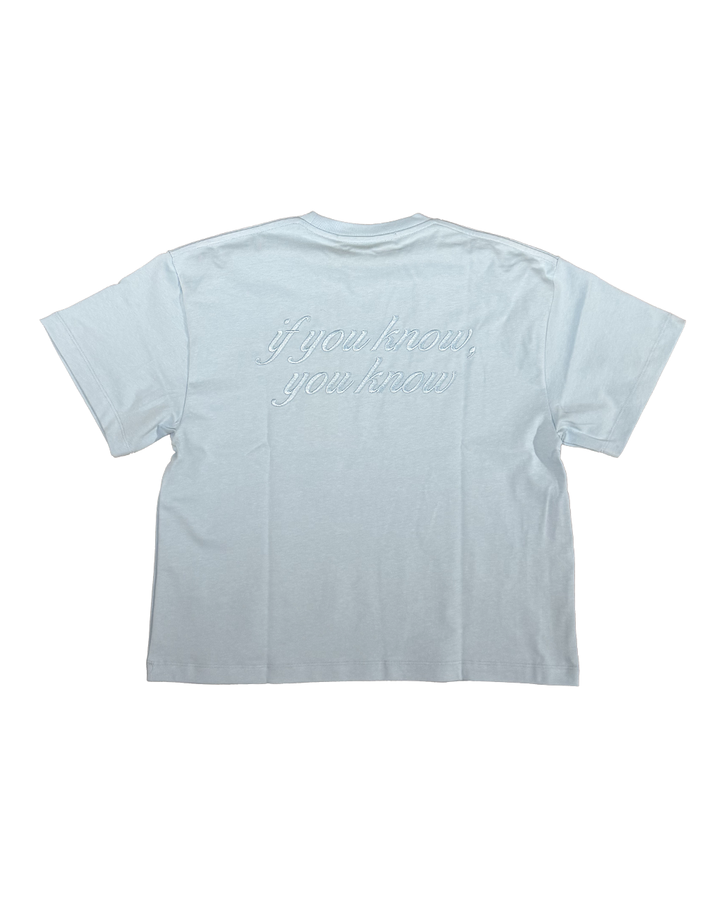 GARMENT WORKSHOP boxy tee if you know light blue