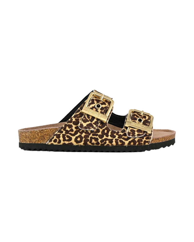 COLORS OF CALIFORNIA slofi pony leopard